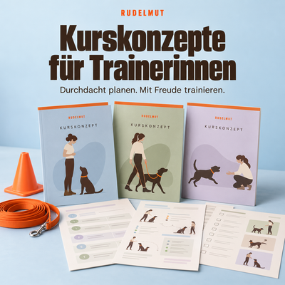 Trainerkonzepte