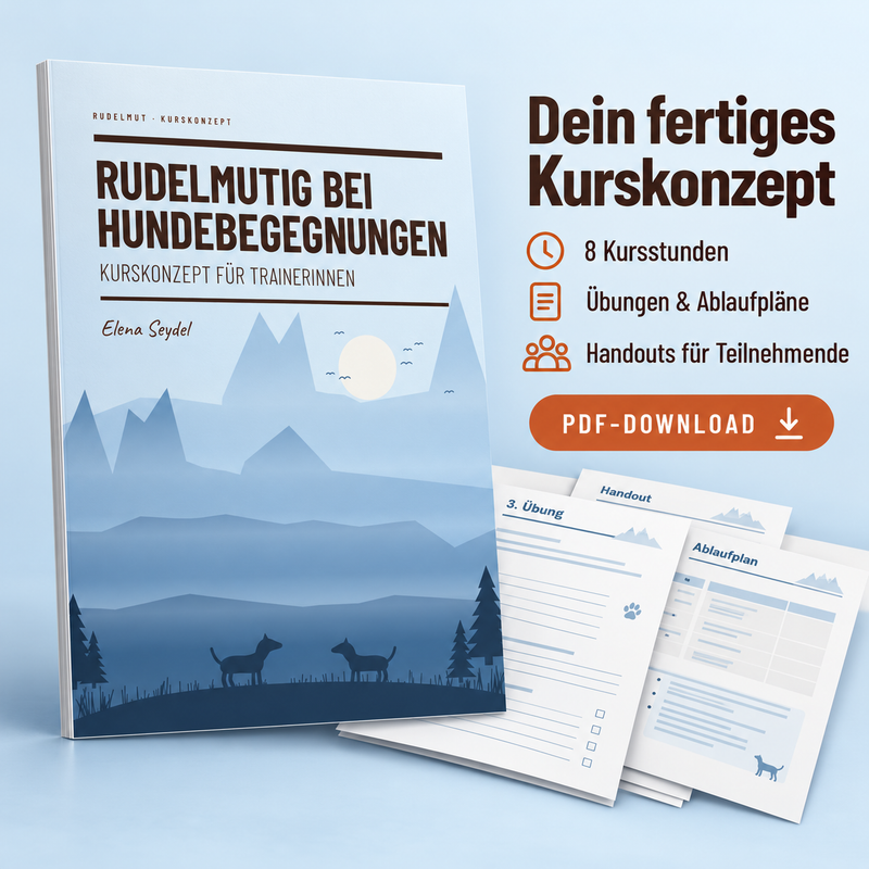 Hundebegegnungen