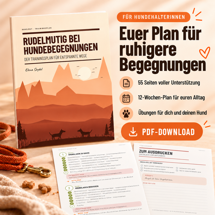 Rudelmutig bei Hundebegegnungen