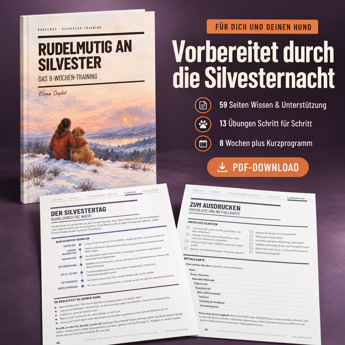Rudelmutig an Silvester – Das 8-Wochen-Training (PDF)