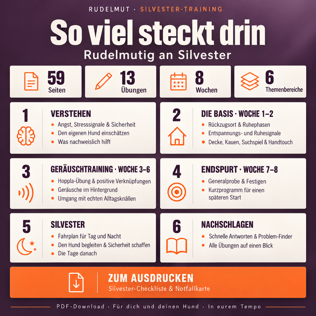 Rudelmutig an Silvester – Das 8-Wochen-Training (PDF)