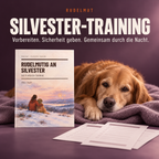 Rudelmutig an Silvester – Das 8-Wochen-Training (PDF)